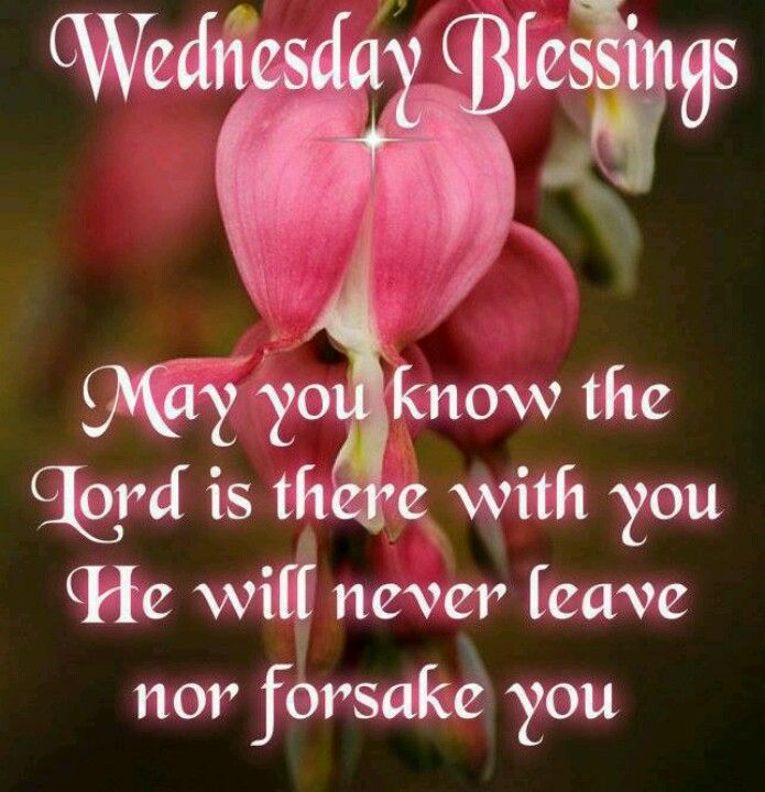 Good Morning Wednesday Blessings and Prayers