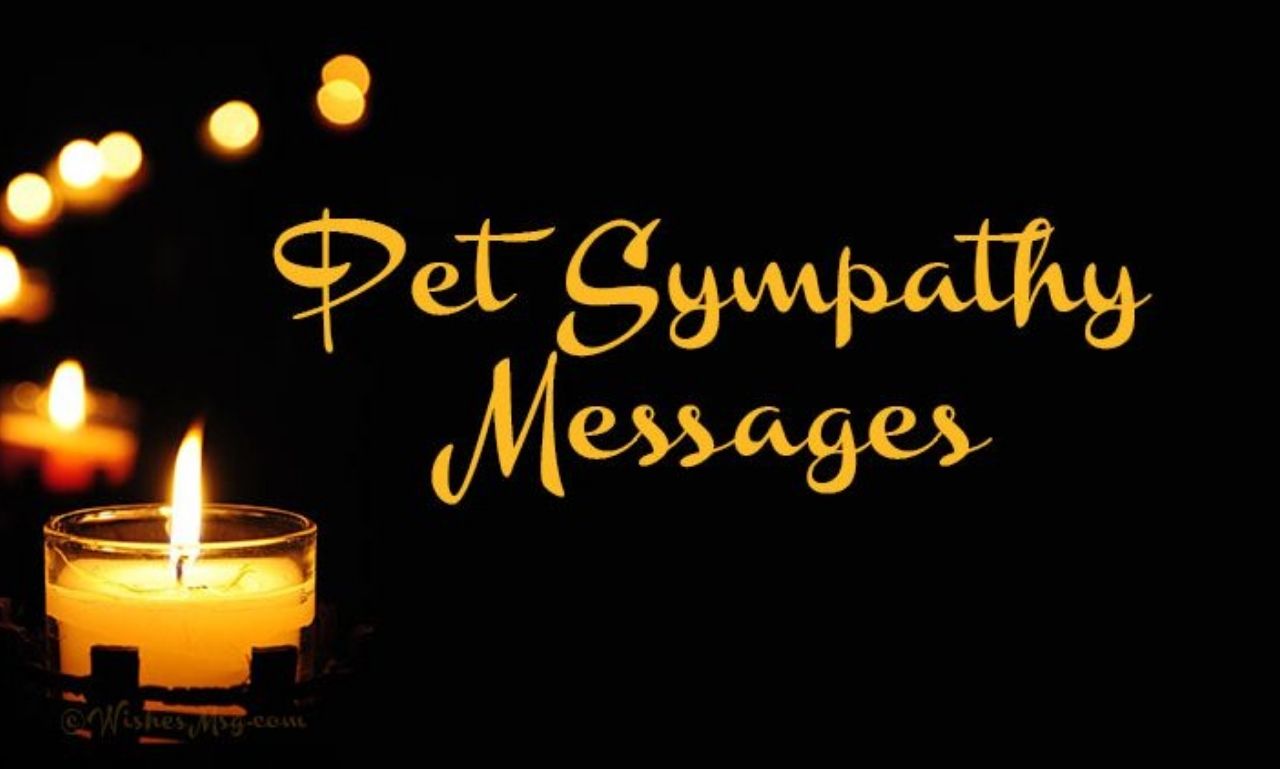 Pet Condolences Messages