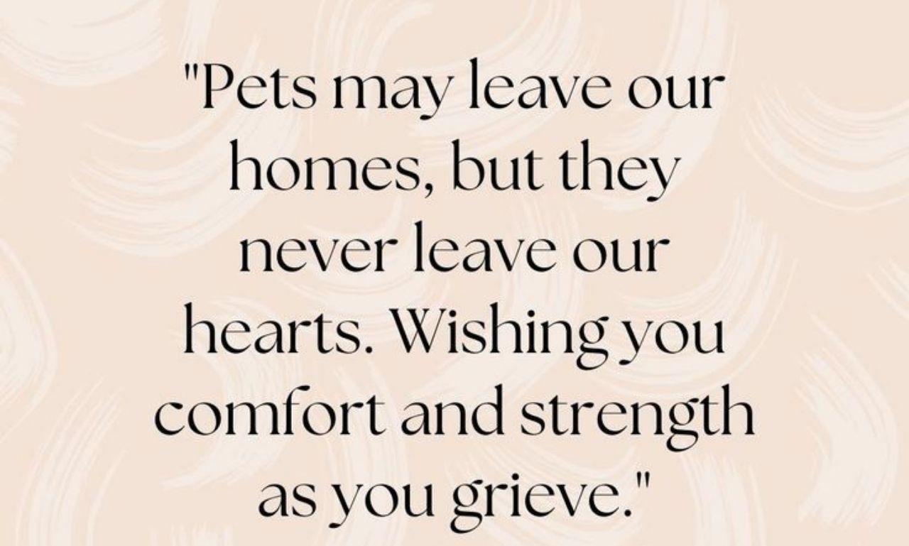 Pet Condolences Messages